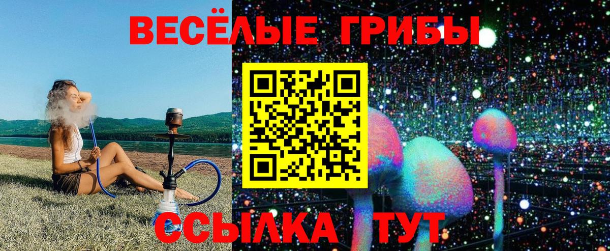 Псилоцибиновые грибы Psilocybine cubensis  Вход с VPN  Кандалакша 