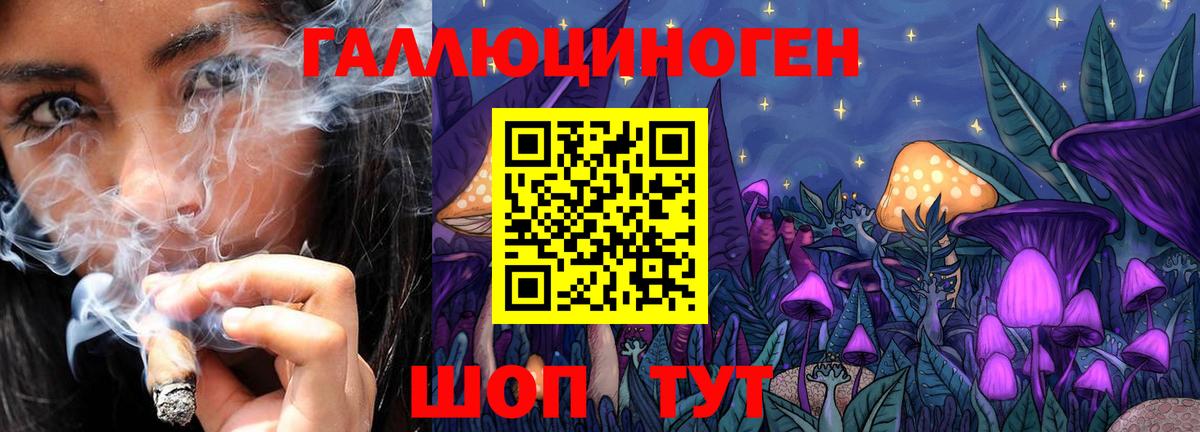 Галлюциногенные грибы MAGIC MUSHROOMS Кандалакша